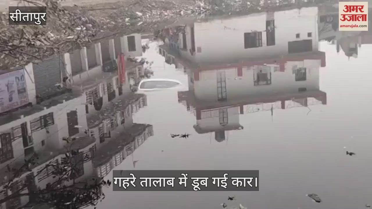 VIDEO:50 सेकेंड में गहरे तालाब में डूब गई कार, मैकेनिक ने धक्का लगवाकर किनारे खड़ी करवाया था