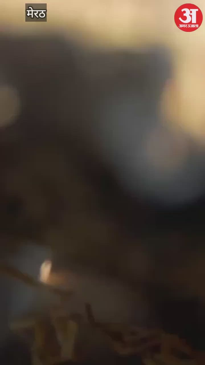 Meerut: किठौर में बाईपास के नाले में नज़र आया तेंदुआ, वन विभाग ने शुरू किया रेस्क्यू, ग्रामीणों में दहशत