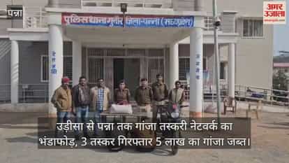 Ganja smuggling network from Odisha to Panna busted, 3 smugglers arrested, ganja worth Rs 5 lakh seized.