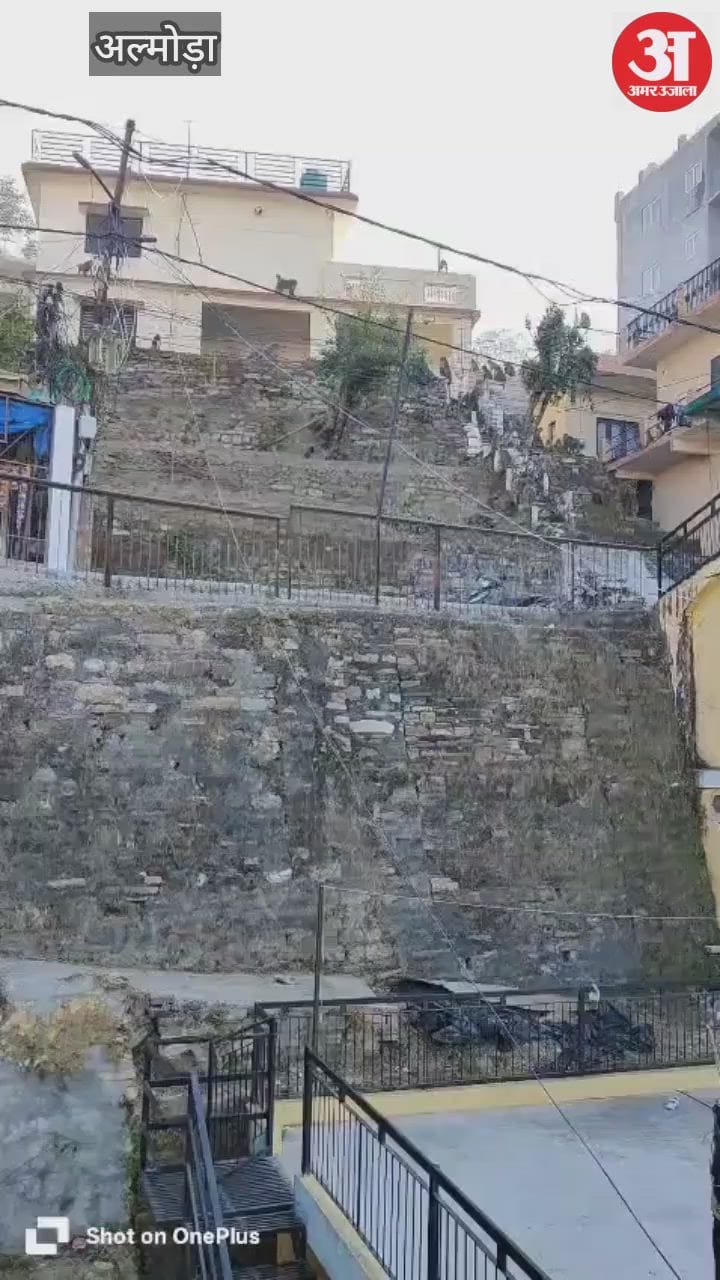 अल्मोड़ा में बंदरों के आतंक से ग्रामीण परेशान