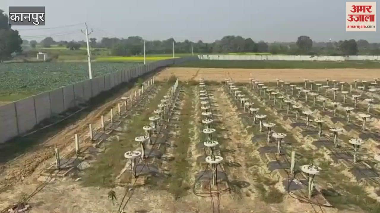 Inspired during his posting in Bhutan, he cultivated a dragon fruit farm