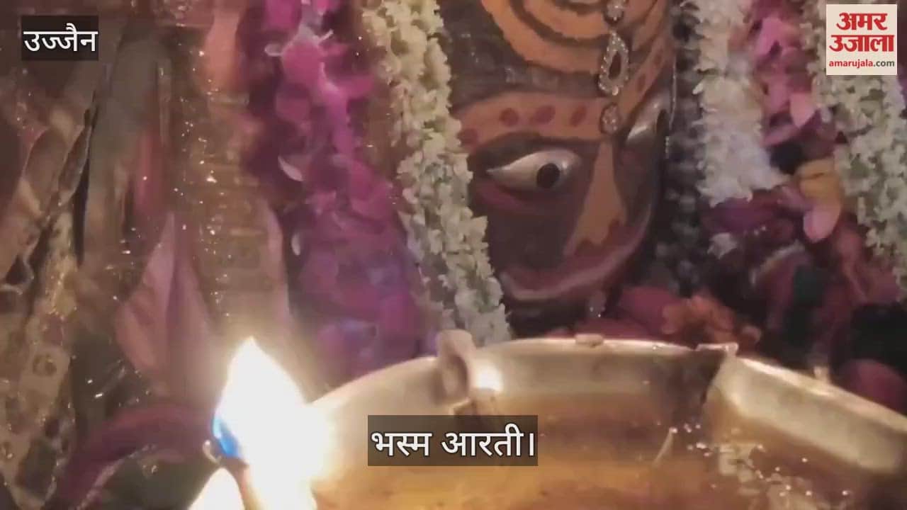 Ujjain News: Baba Mahakal Adorned with Tripund, Bhang and Dry Fruits, Devotees Throng Bhasma Aarti