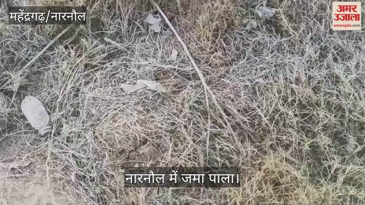 Weather Clear in Narnaul