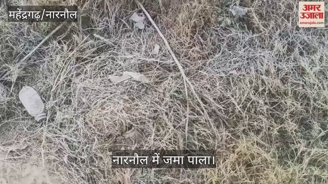 Weather Clear in Narnaul