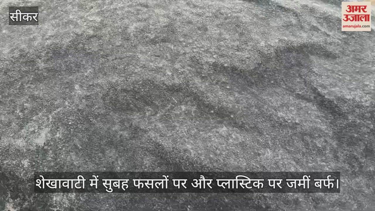 Cold wave in Shekhawati at 1 degree Celsius, alert for severe cold for 2 days...