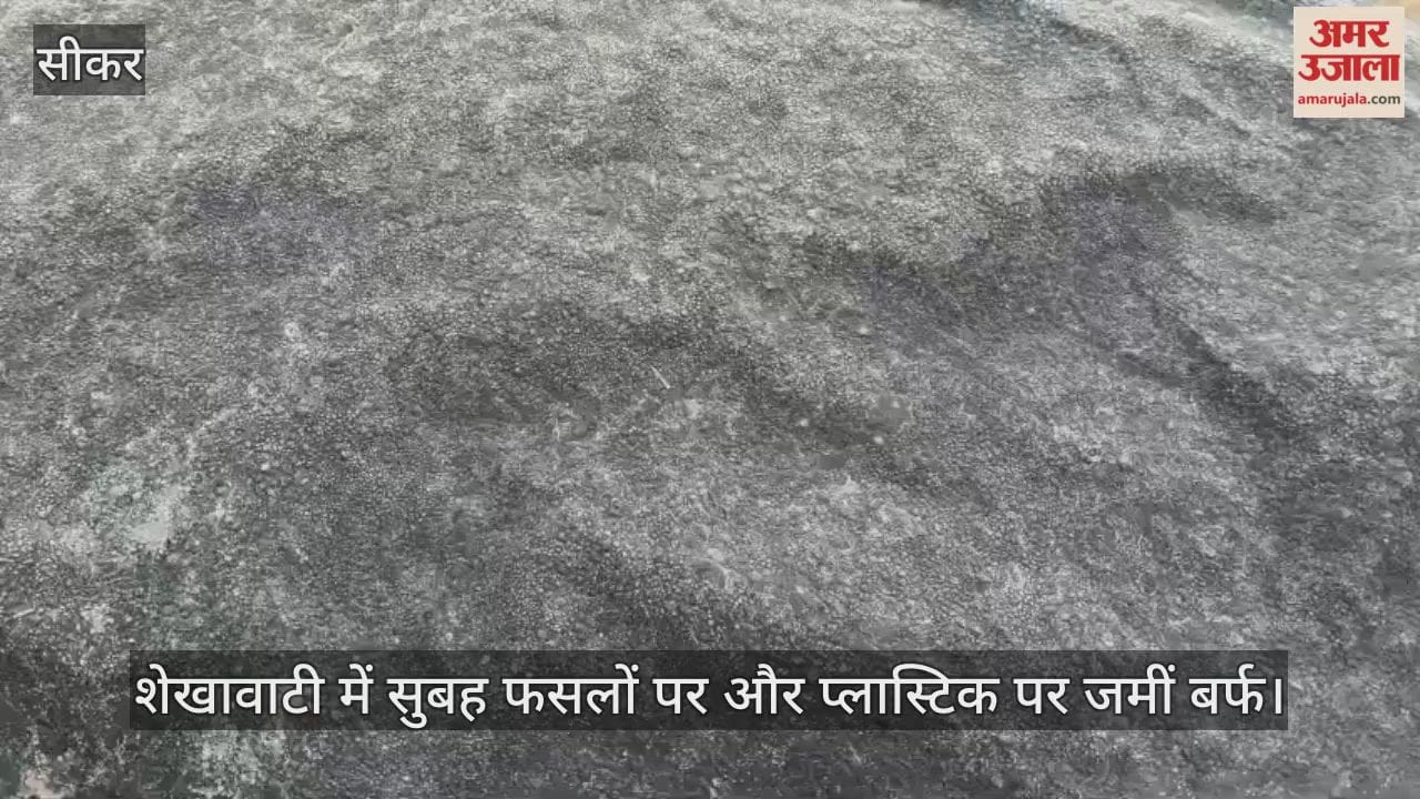 Cold wave in Shekhawati at 1 degree Celsius, alert for severe cold for 2 days...