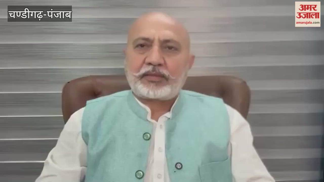 What did AAP leader Baltej Pannu say on the statement of SGPC chief