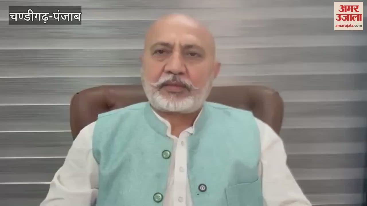What did AAP leader Baltej Pannu say on the statement of SGPC chief