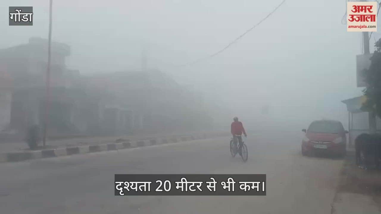VIDEO: गोंडा में सुबह रहा घना कोहरा, दृश्यता 20 मीटर से भी कम