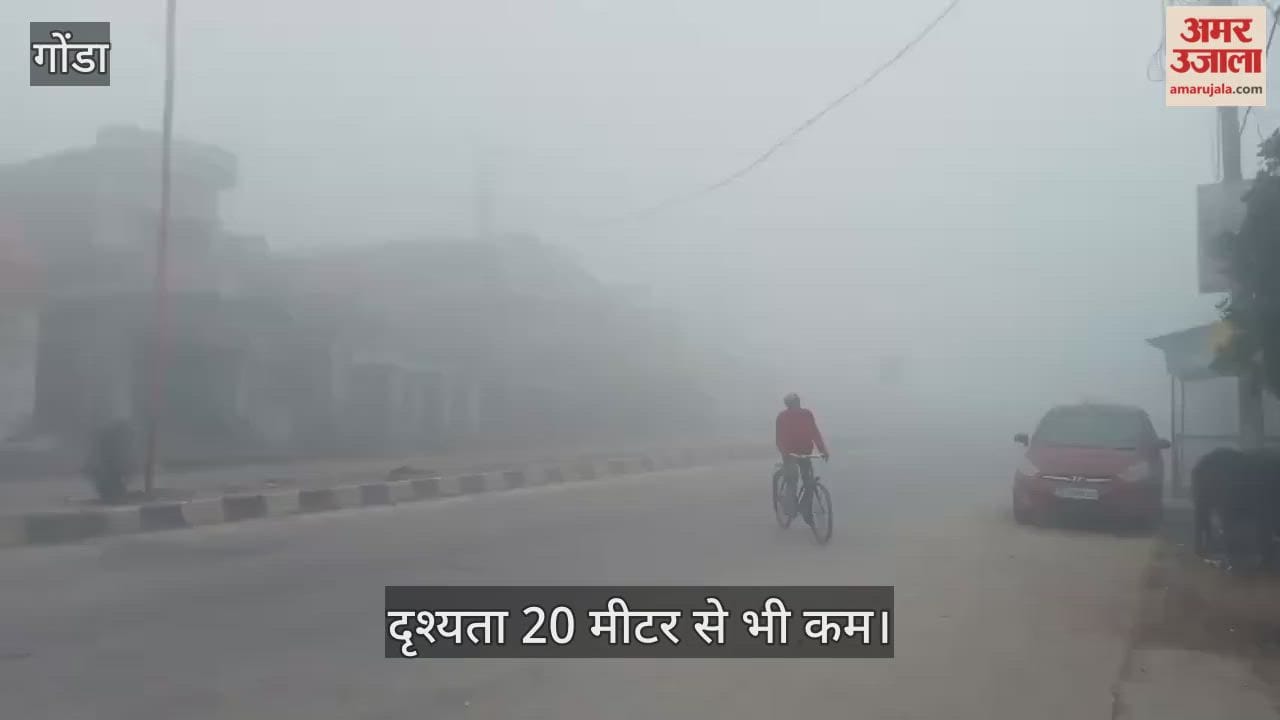 VIDEO: गोंडा में सुबह रहा घना कोहरा, दृश्यता 20 मीटर से भी कम