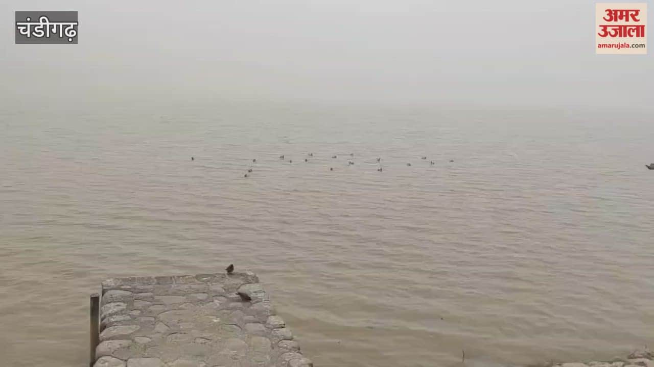 Dense Fog in Chandigarh