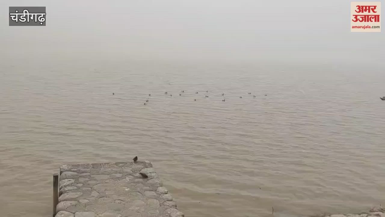Dense Fog in Chandigarh