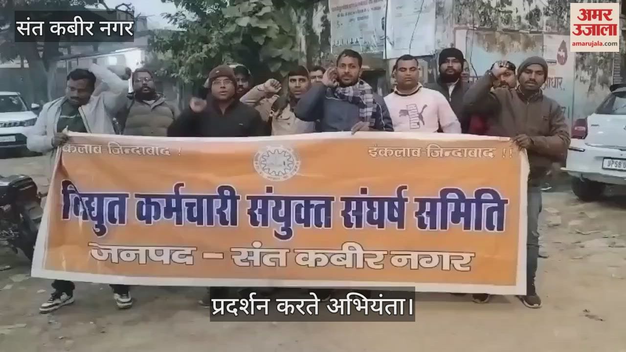 Electricity workers protested against privatization