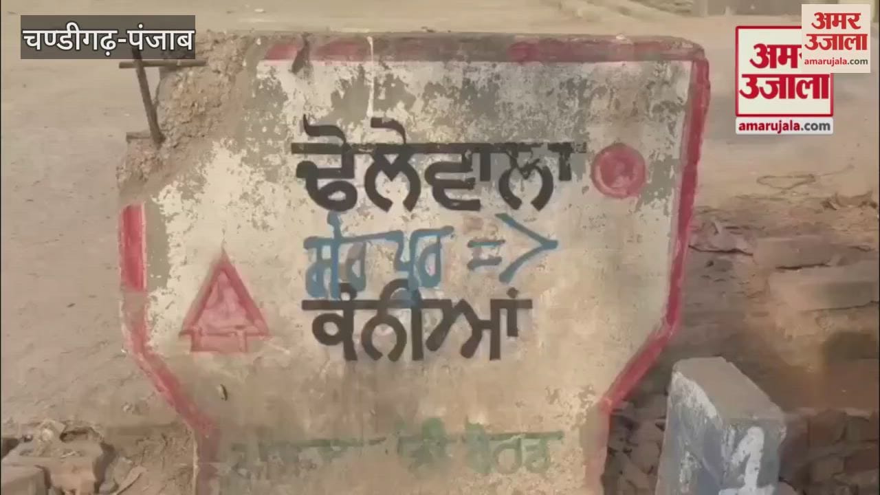 Three deaths from chitta in 25 days in Moga's Dholewala village, sparking mourning