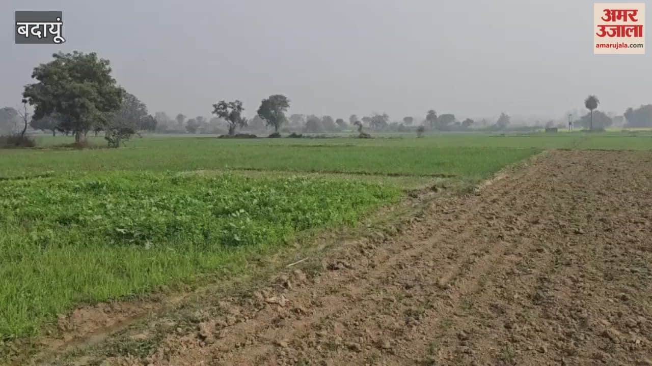 wild boar attacked the forest worker during rescue operation in budaun