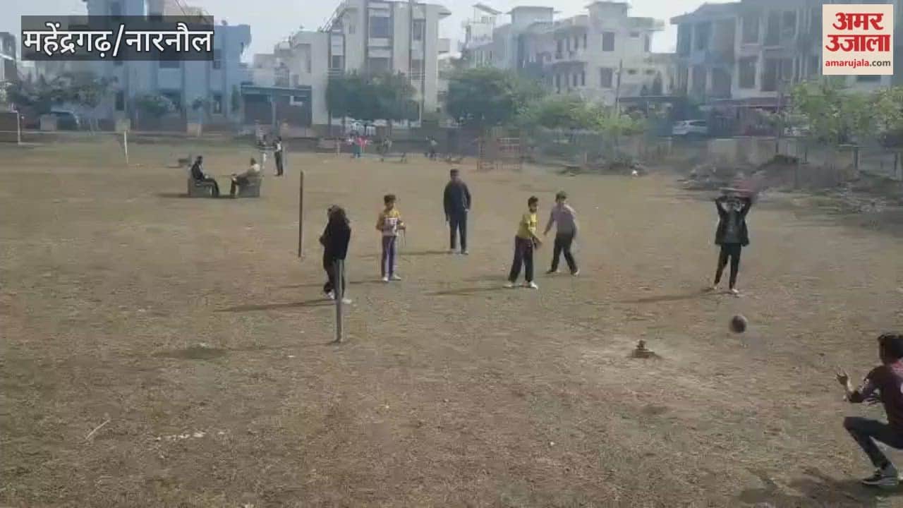 In Narnaul, the municipal council took action 20 days ago and had the parks cleaned.