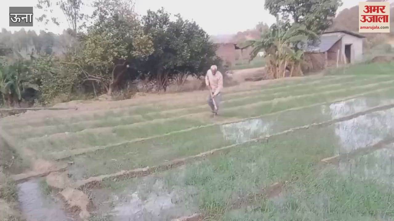 Una In the Jol region technology-driven farming, along with irrigation resources has become the strength of farmers amidst the wait for rain