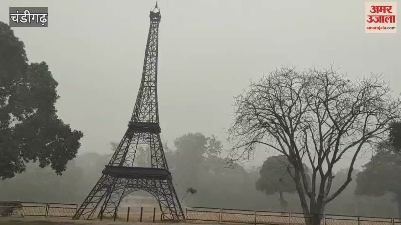 Fog in Chandigarh