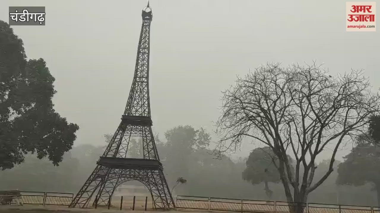 Fog in Chandigarh