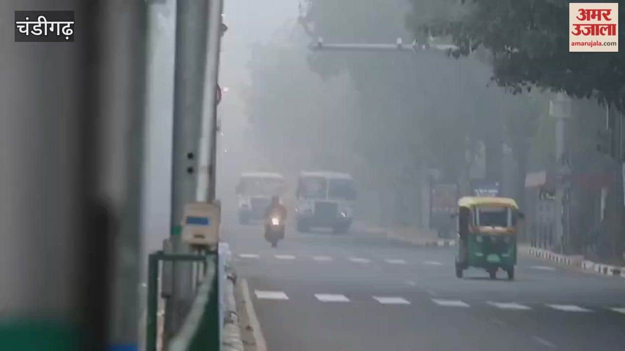Fog in Chandigarh
