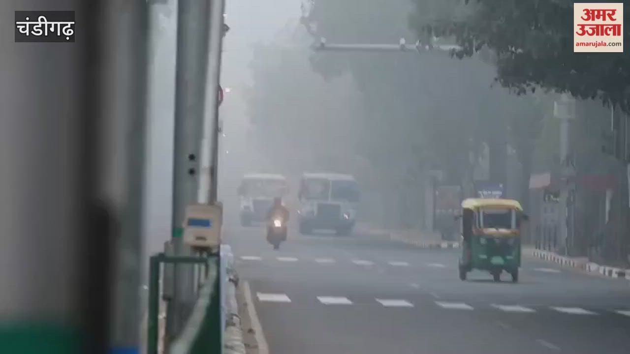 Fog in Chandigarh