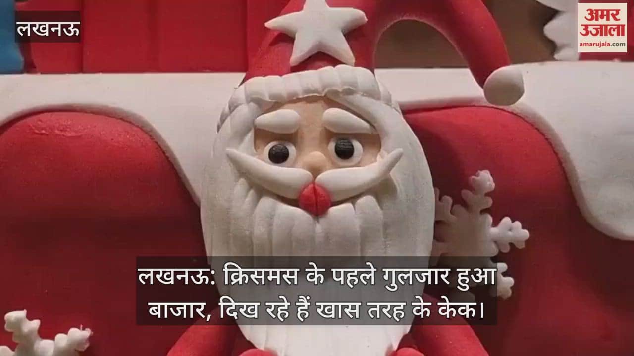 लखनऊ: क्रिसमस के पहले गुलजार हुआ बाजार, दिख रहे हैं खास तरह के केक