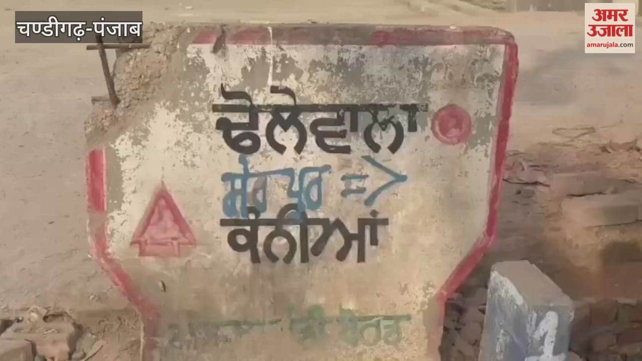 Three deaths from chitta in 25 days in Moga's Dholewala village, sparking mourning