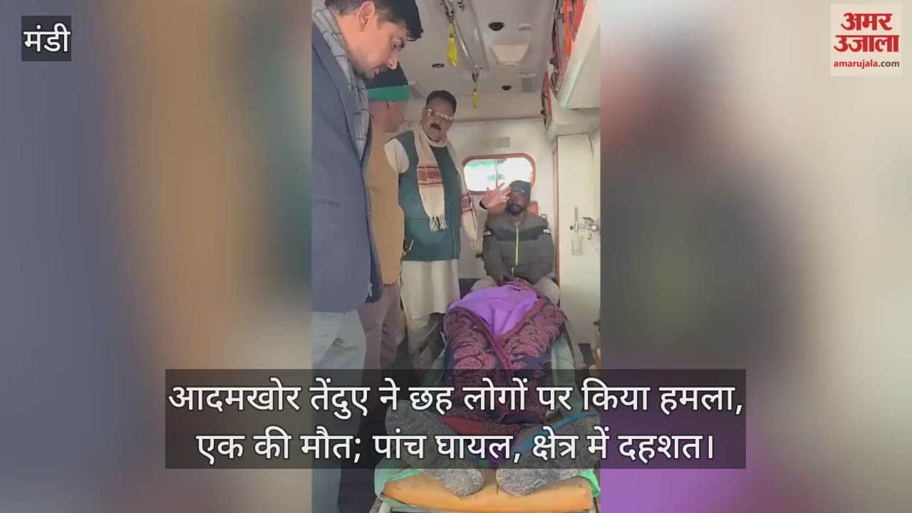 leopard attacked six people, killing one and injuring five