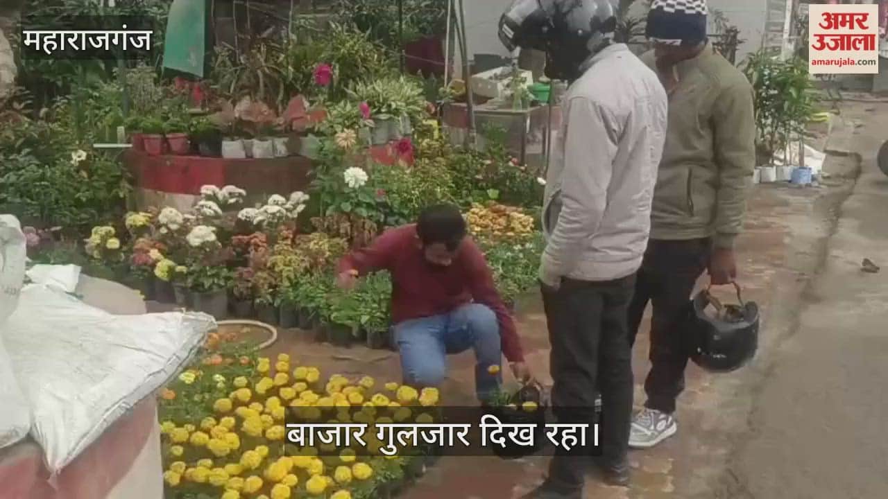 Flowering plant market heats up in winter
