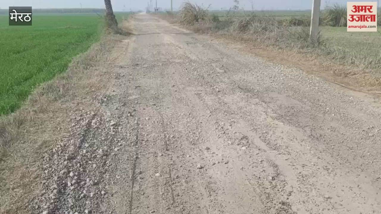 Meerut: The road of Surajpur village could not last even for six months