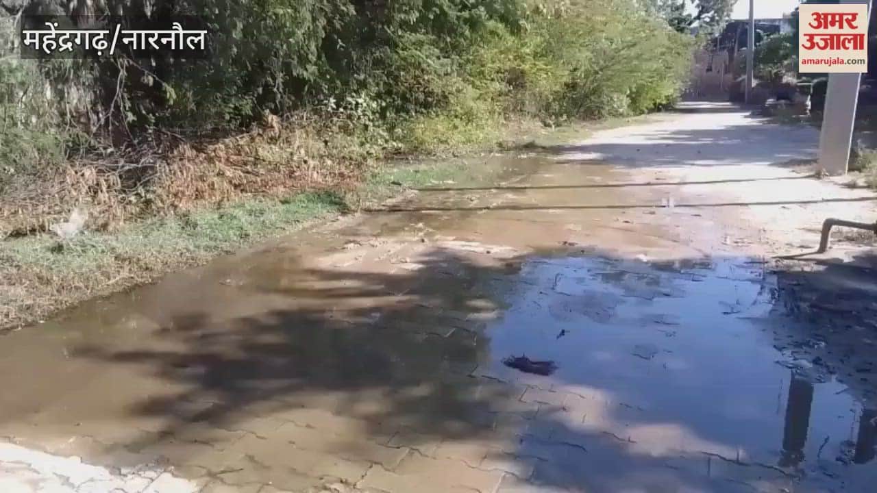 In Narnaul, contaminated wastewater from the drains is accumulating in a pond instead of flowing into the drain