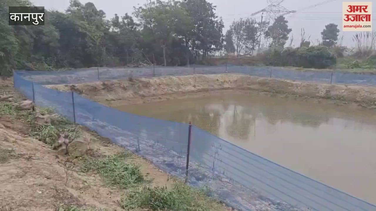 small pond built in the field, fish farming brings prosperity
