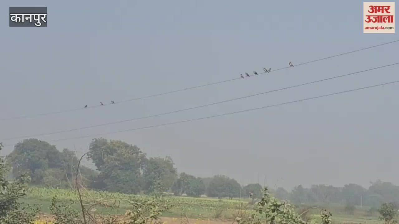 Three hours of sunshine bring relief from the cold