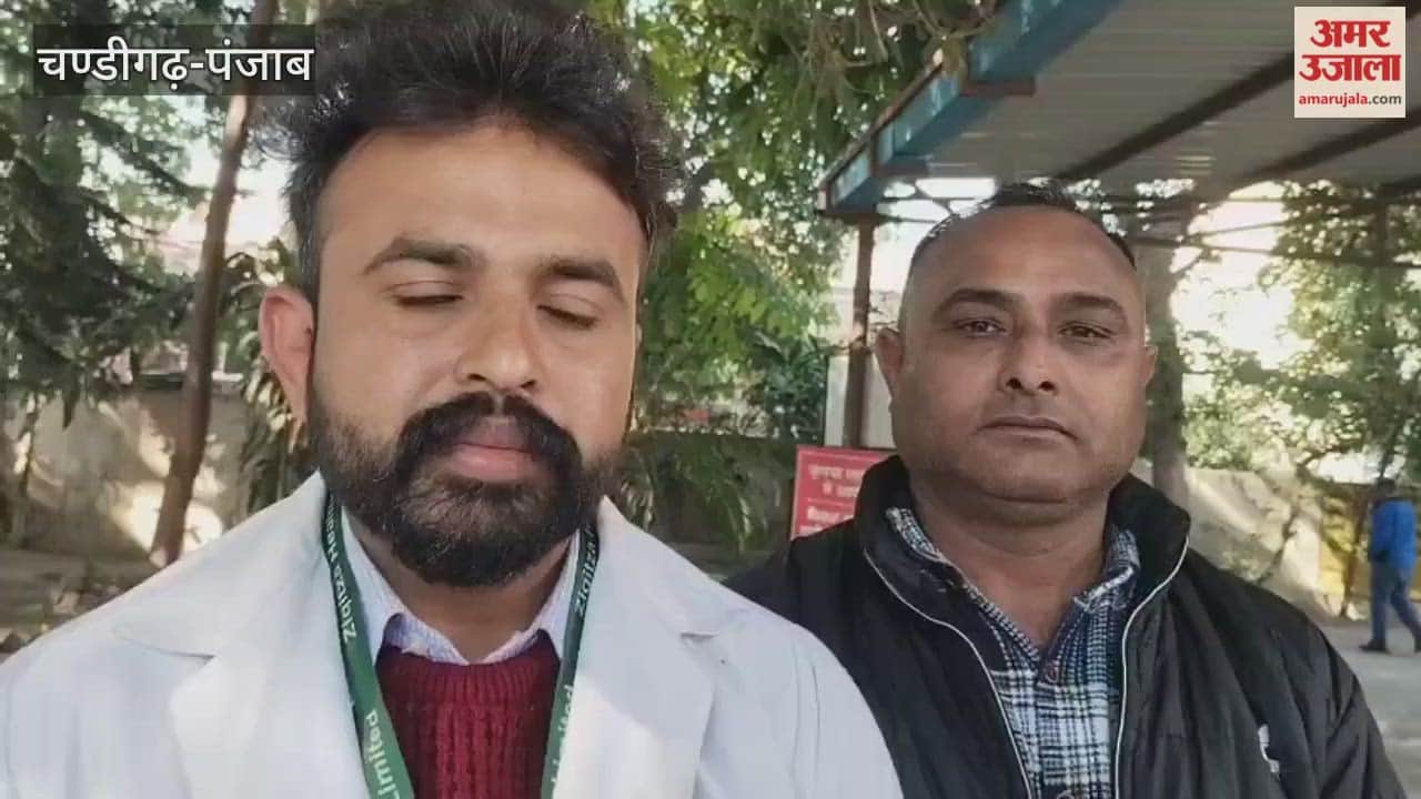 Thar collided with tree in Phagwara killing a young man