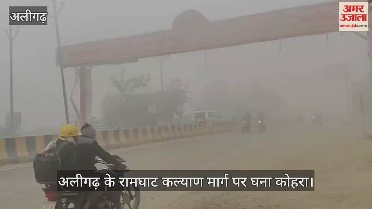 अलीगढ़ के रामघाट कल्याण मार्ग पर घना कोहरा