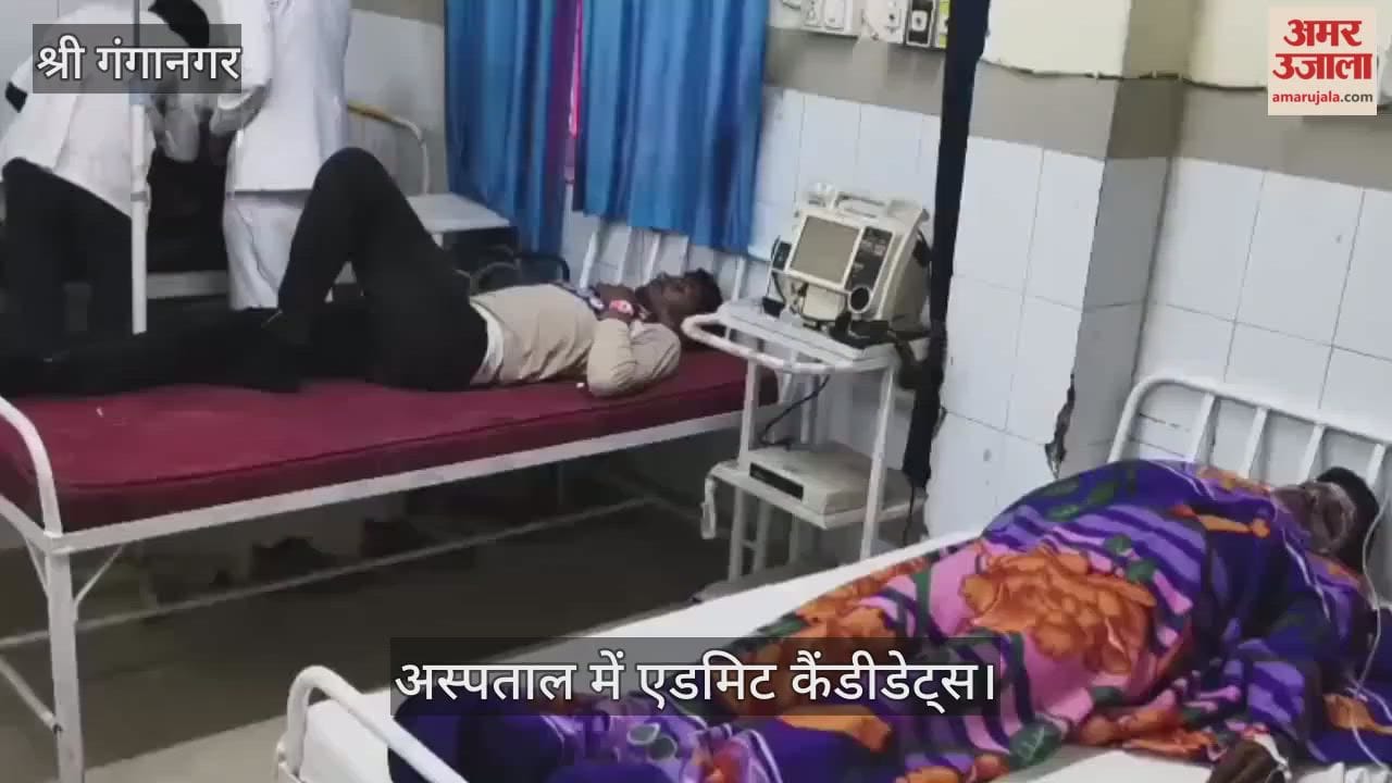 Sri Ganganagar Swarm of Bees Attacks Candidates During BSF Recruitment,