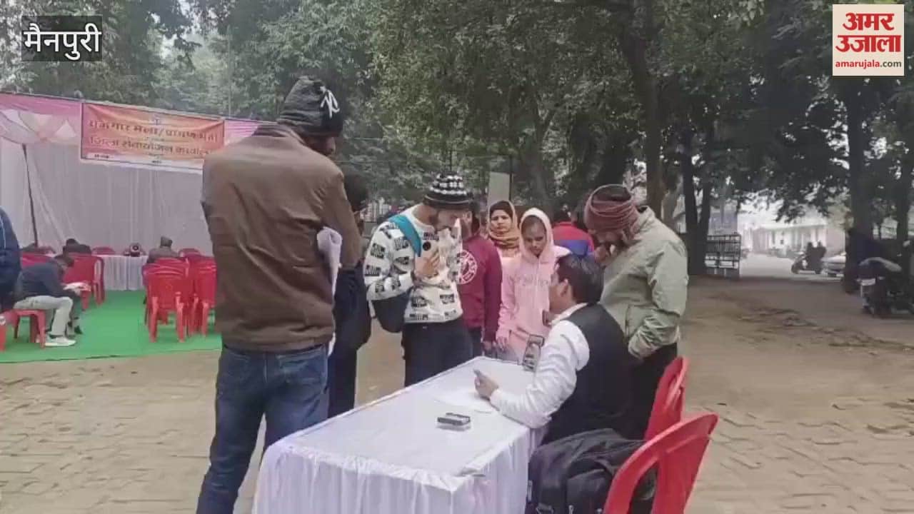 Employment Fair Organised at District Employment Office Interviews for Over 500 Posts