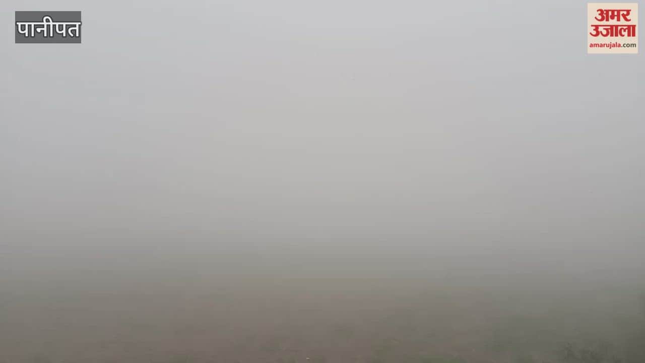 Due to dense fog in Panipat, visibility remained zero during morning and evening hours, and the maximum temperature dropped by one degree