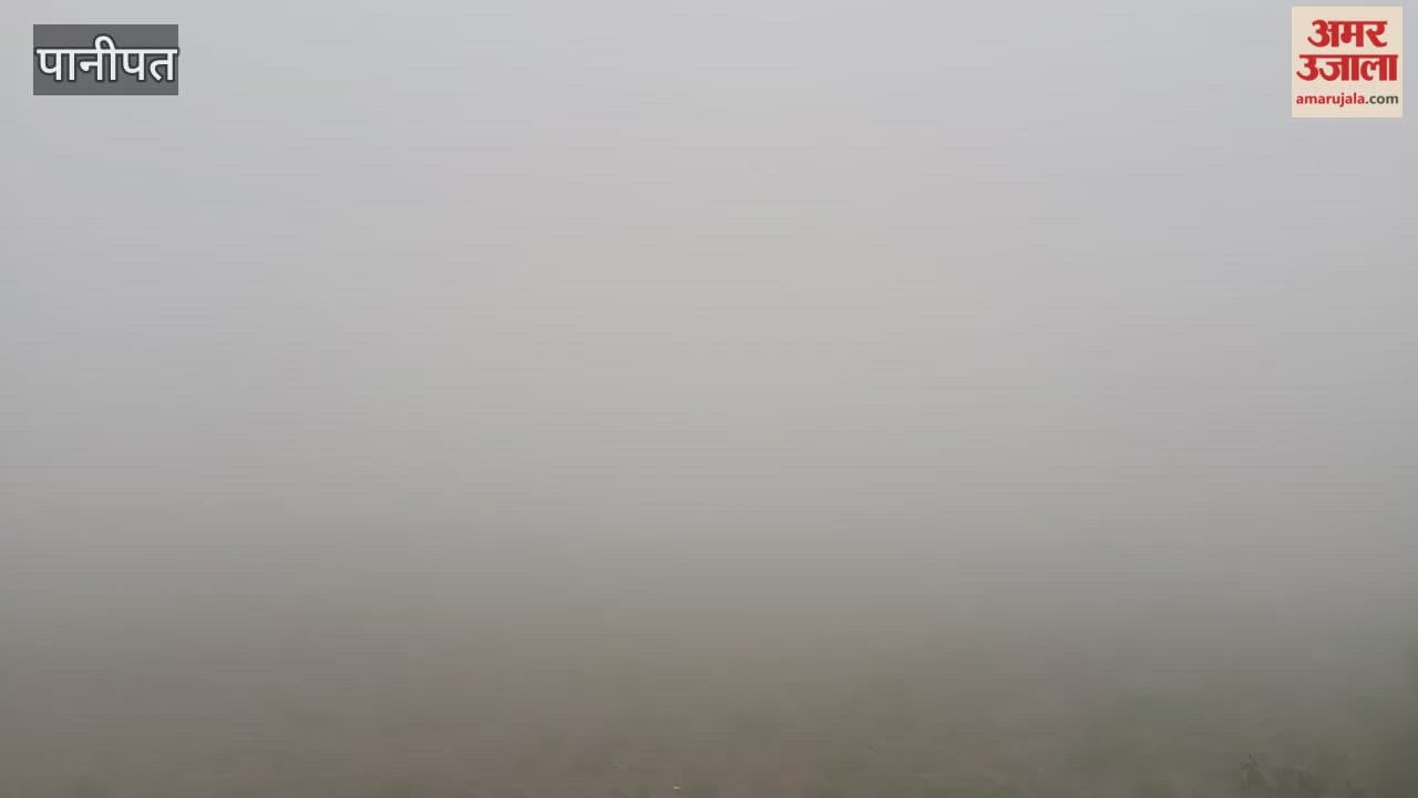 Due to dense fog in Panipat, visibility remained zero during morning and evening hours, and the maximum temperature dropped by one degree