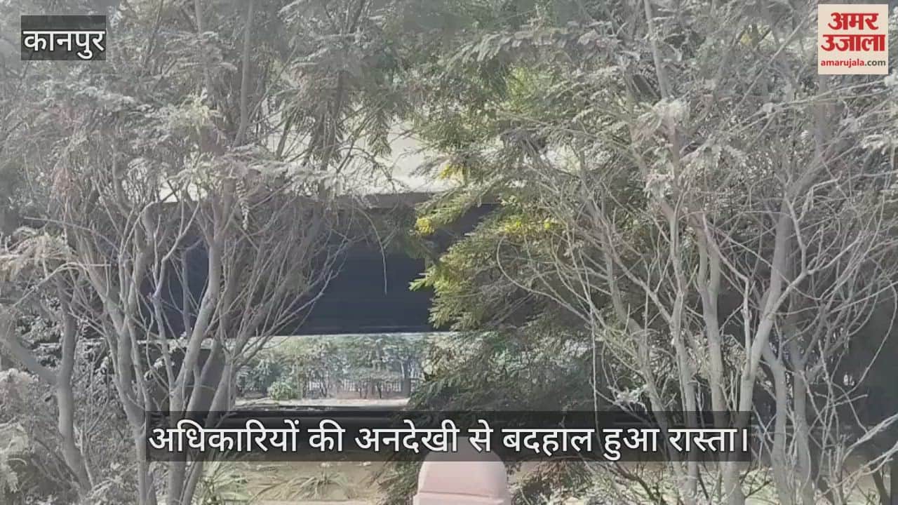 कानपुर में जाजमऊ-जेके सर्विस लेन के सौंदर्यीकरण पर फिरी झाड़ियां