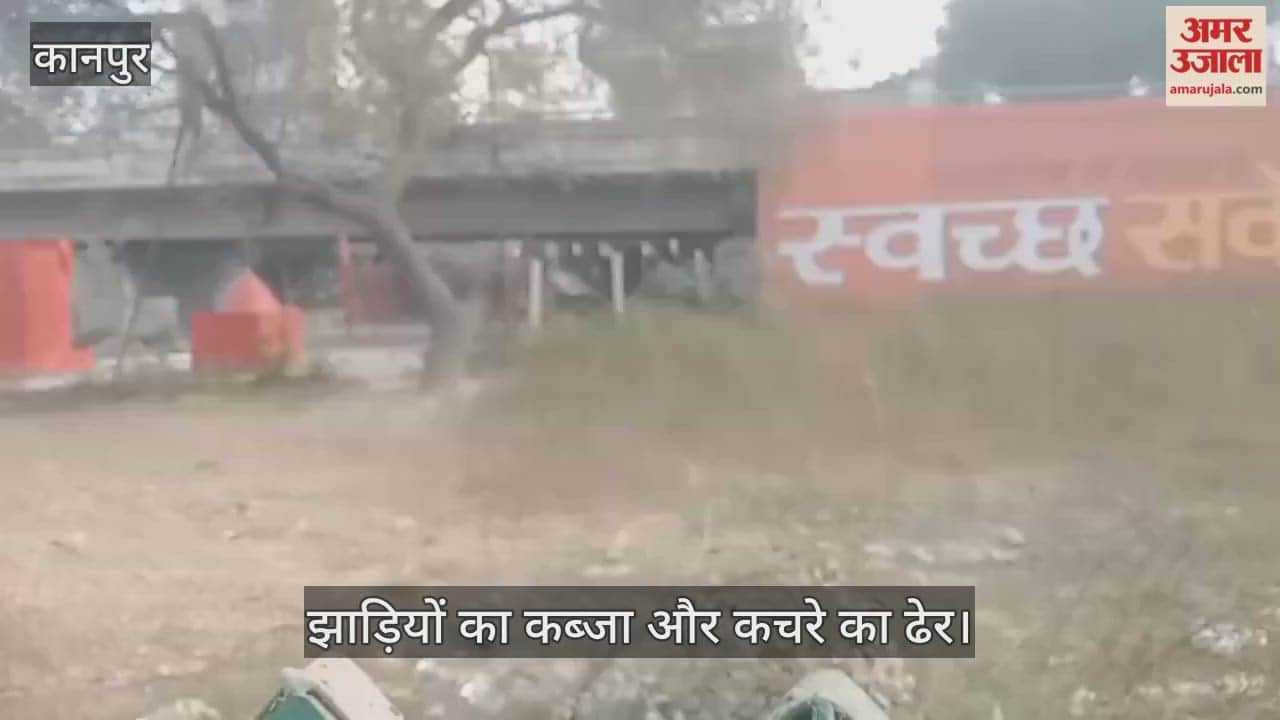 कानपुर: ग्रीन बेल्ट के मंदिर के पीछे गंदगी का अंबार; झाड़ियों और कचरे के बीच आस्था