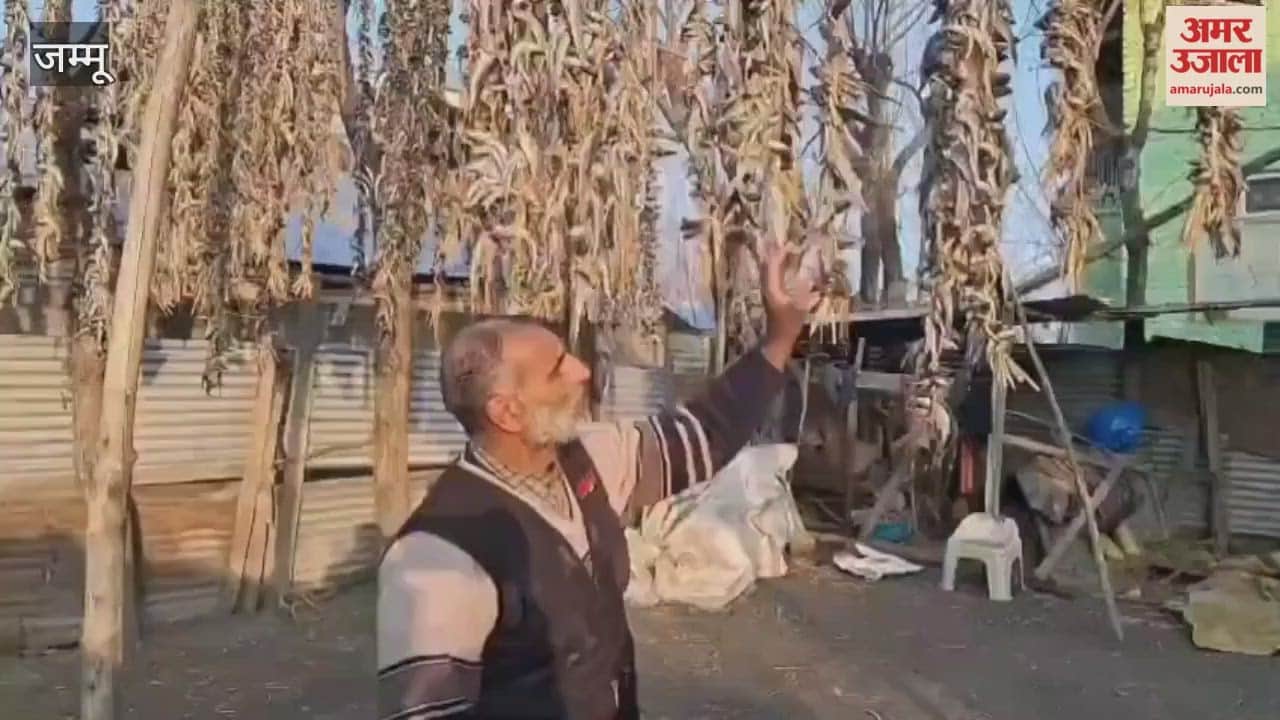 Pollution pushes Wular fishermen out of Sun-dried Fish trade in North Kashmir