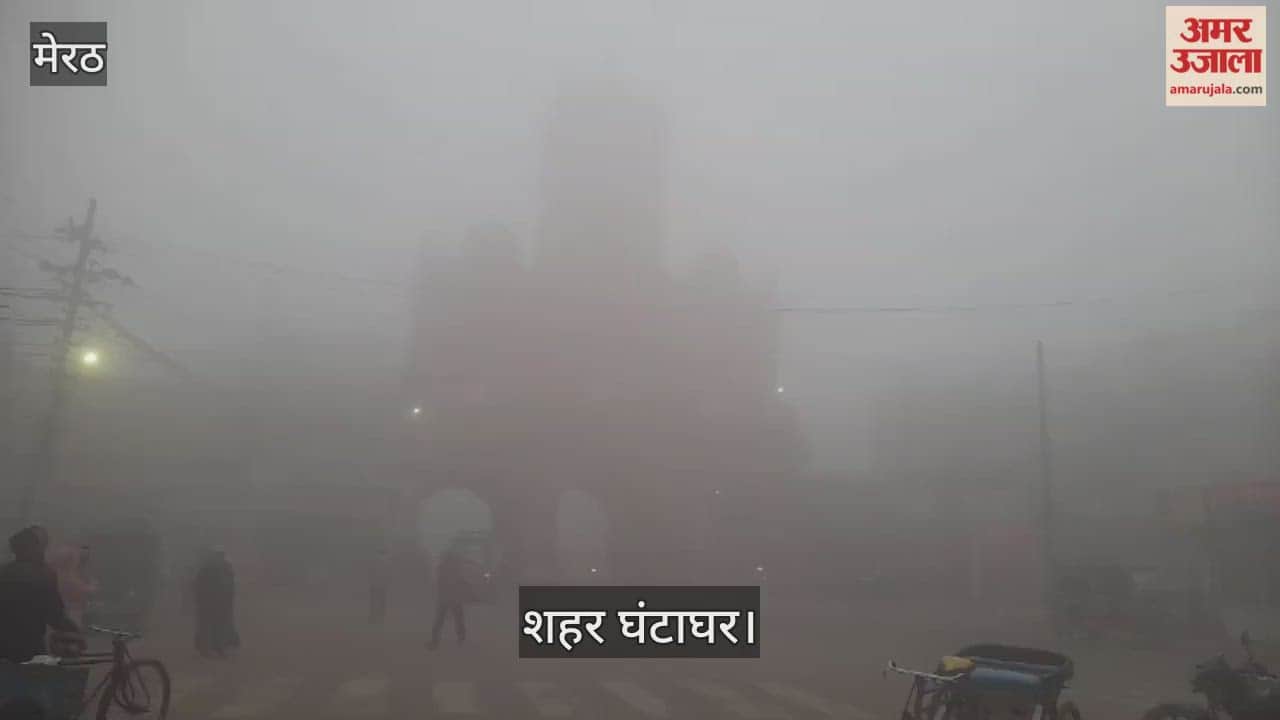 Meerut: Life affected due to fog and cold