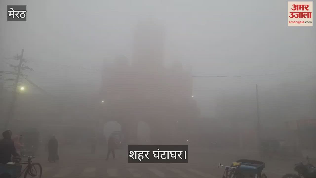 Meerut: Life affected due to fog and cold
