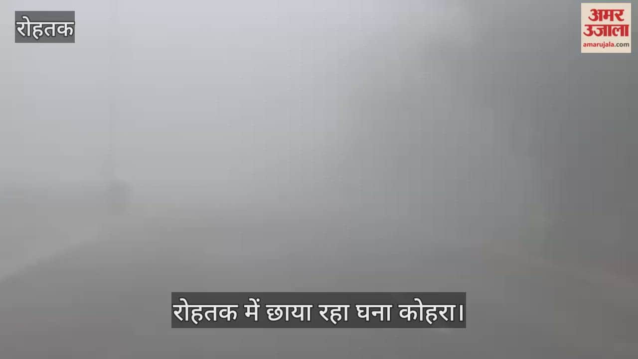 Dense fog prevails in Rohtak