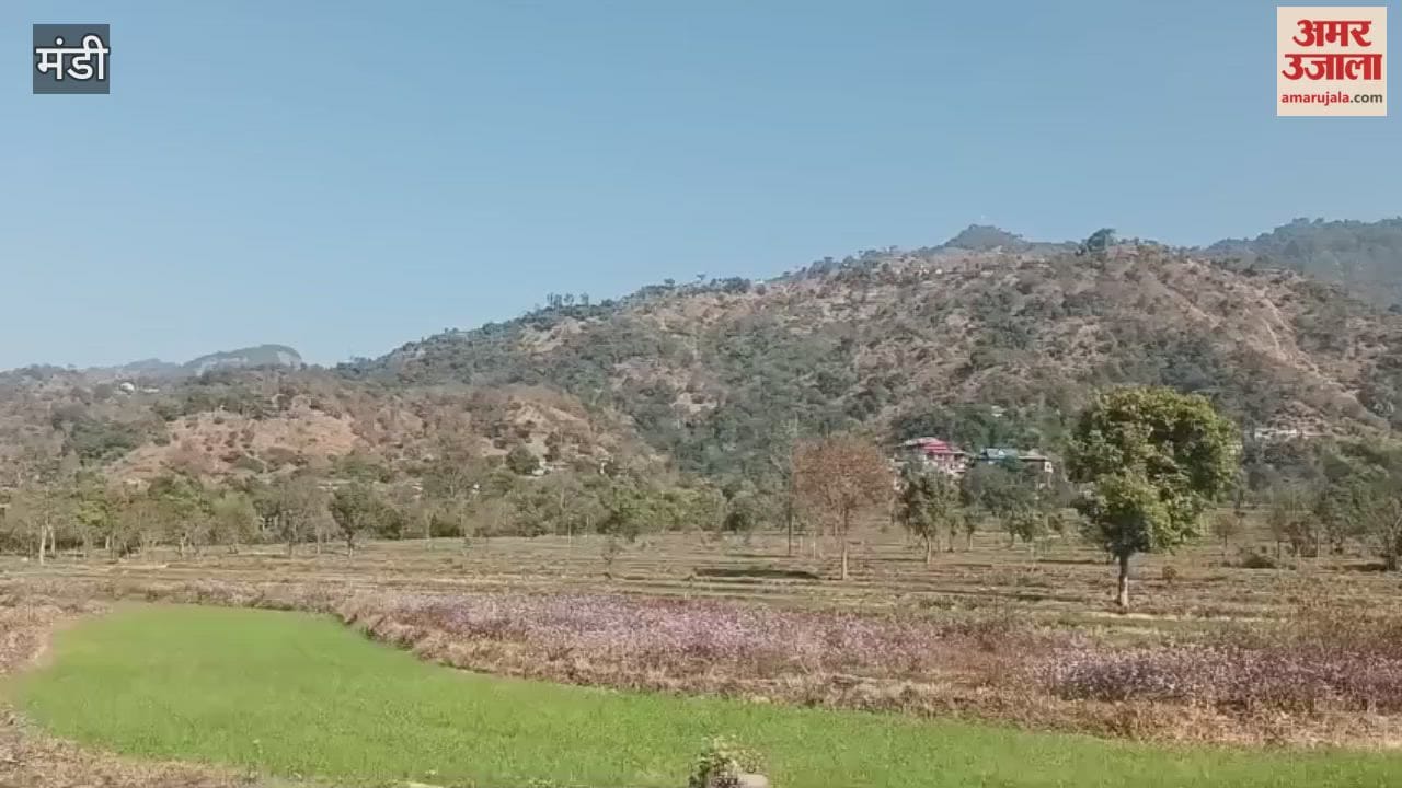 Mandi Prem Chand has set an example by cultivating dragon fruit in Sarkaghat becoming a source of inspiration for others
