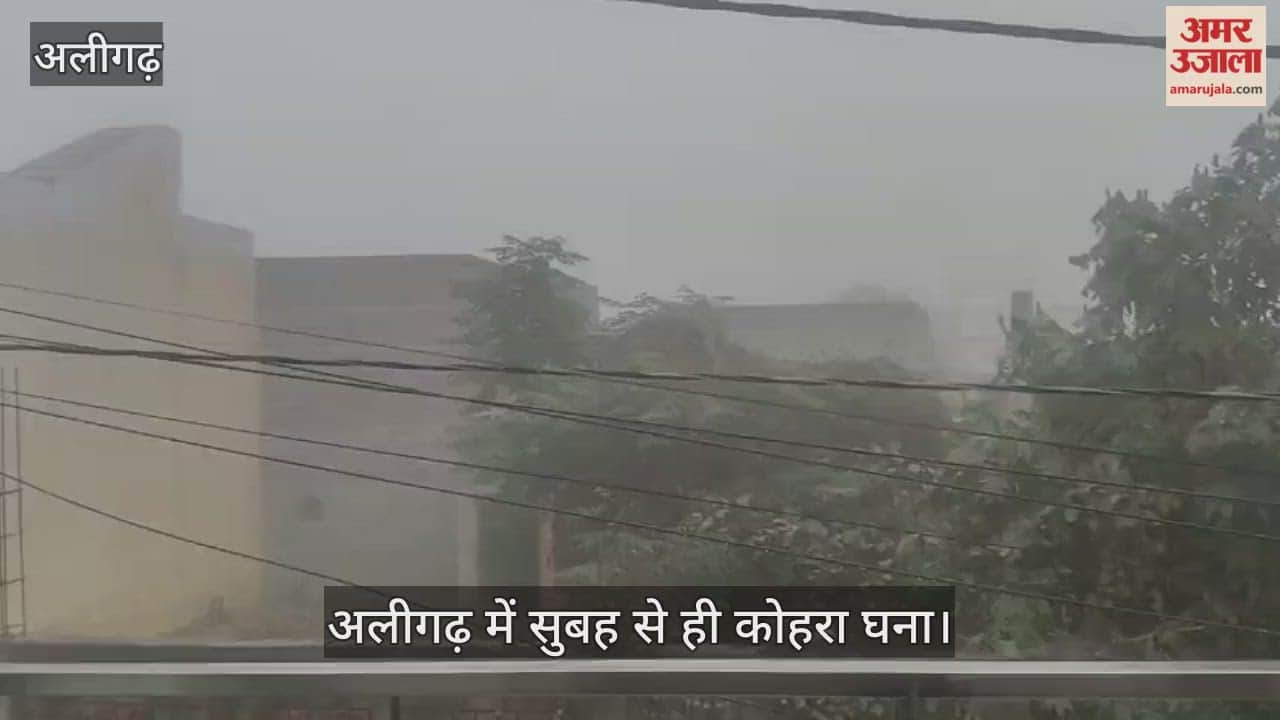 अलीगढ़ में सुबह से ही कोहरा घना