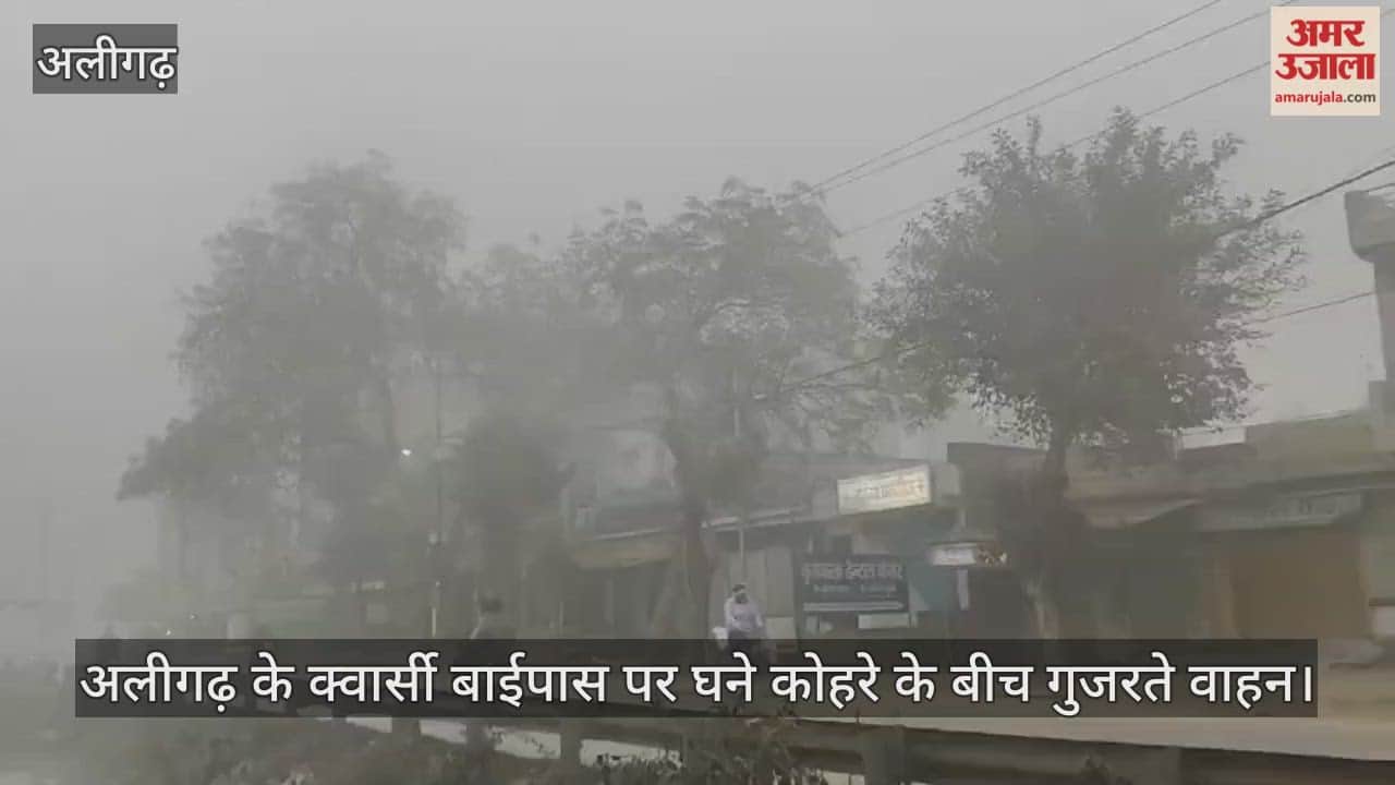 अलीगढ़ के क्वार्सी बाईपास पर घने कोहरे के बीच गुजरते वाहन