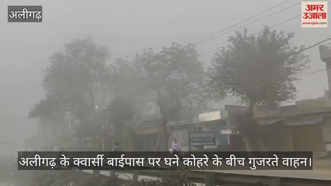 अलीगढ़ के क्वार्सी बाईपास पर घने कोहरे के बीच गुजरते वाहन