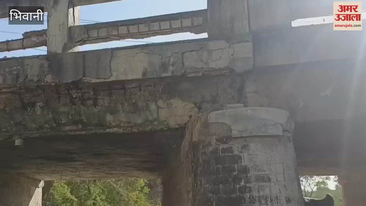 In Bhiwani, MP Kumari Selja said, "The Congress fought for independence and is now fighting to save the Constitution